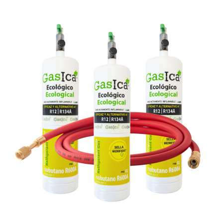 Pack 3 Gasica D2 PRO 400g |...