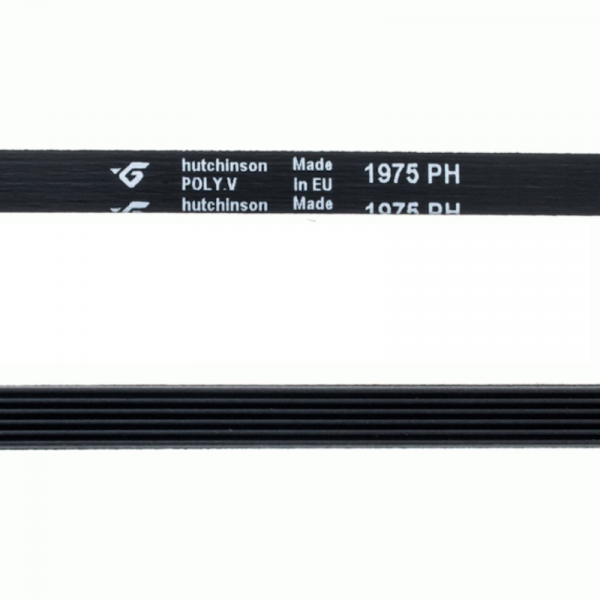 Correa 1975 H6 | Compatible con Zanussi Bosch Merloni | Transmisión Ranurada de 6 Pistas | Recambio Reforzado