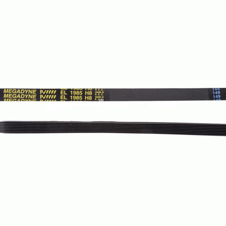 Correa 1985 H8 Elástica |...