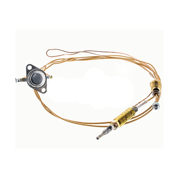 TERMOPAR CALDERA COINTRA CON TERMOSTATO M15 A20 7576