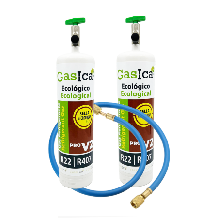 Pack 2 GASICA V2 PRO 400g |...